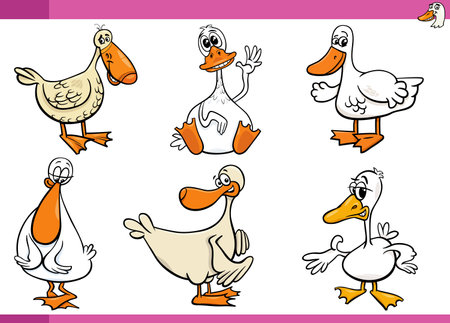 Cartoon illustration of ducks farm birds characters setのイラスト素材