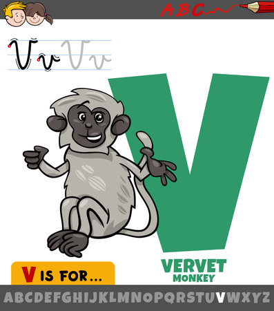 Educational cartoon illustration of letter V from alphabet with vervet monkey animal characterのイラスト素材