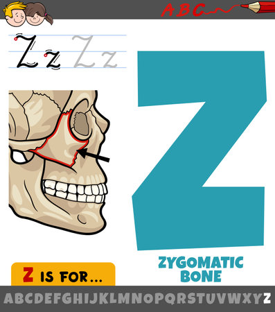 Educational cartoon illustration of letter Z from alphabet with zygomatic boneのイラスト素材