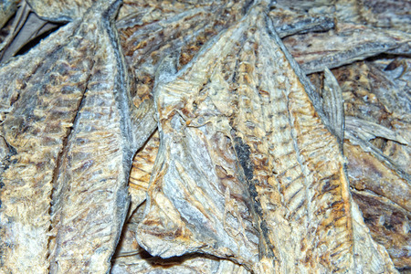 Male india fish market: dried fishの写真素材