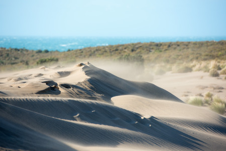 ocean beach sand dunes detailの写真素材