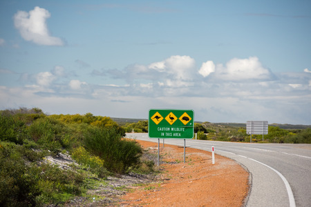 endless road in West Australiaの写真素材