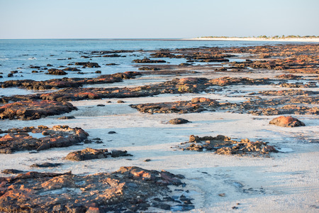 Stromatolites black rocks beach in West Australia at sunsetの写真素材