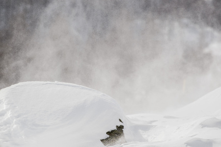 snow tempest on white mountains