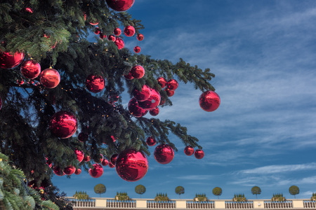 red balls on big christmas tree on blue sky backgroundの写真素材
