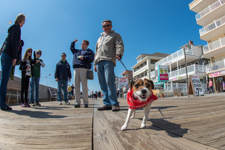 OCEAN CITY, USA - APRIL 24, 2014 - People walking the boardwalk and having fun in Maryland  famous ocean cityのeditorial素材