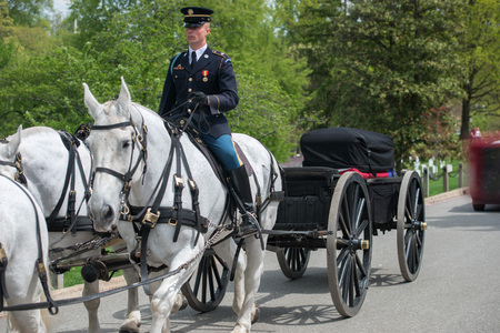 WASHINGTON D.C., USA - MAY, 2 2014 - US Army marine funeral at Arlington cemetery: coffin on the horse coachのeditorial素材