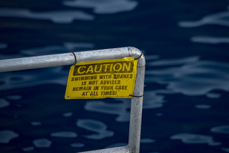 caution swiimming with sharks is not advised remain in your cage at all time yellow warning signの写真素材