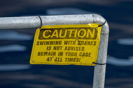 caution swiimming with sharks is not advised remain in your cage at all time yellow warning signの写真素材