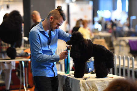 GENOA, ITALY - MAY 21 2016 - Annual public international dog show with more than thousand different dogs from all over the world, best in show, agility, obedience, defence, control, command.のeditorial素材