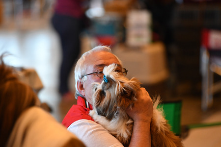 GENOA, ITALY - MAY 21 2016 - Annual public international dog show with more than thousand different dogs from all over the world, best in show, agility, obedience, defence, control, command.のeditorial素材
