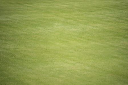 desert golf course green in Baja Californiaの写真素材