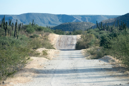 Baja California desert endless road landscape view panoramaの写真素材