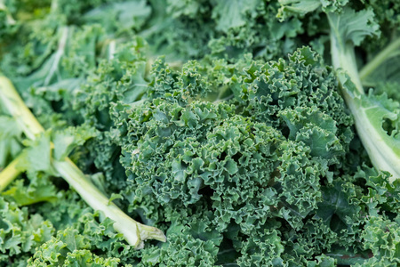 fresh green kale salad at the market for sale