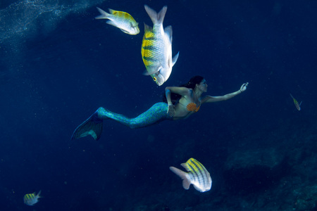 black hair Mermaid swimming underwater in the deep blue sea and fishの写真素材