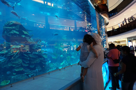 DUBAI, UAE - AUGUST 14 2017 - The Dubai Aquarium & Underwater Zoo was designed by Peddle Thorp showcases more than 300 species of marine animals, including sharks and rays.のeditorial素材