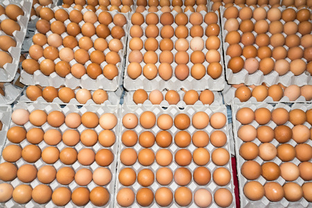 eggs ready for sale at the marketの写真素材
