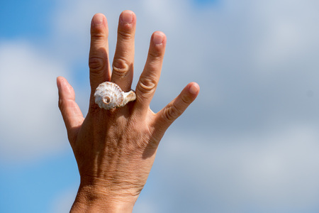 Hand with a shell like a ring on the skyの写真素材