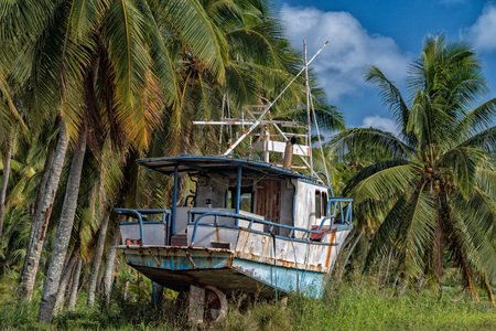 abandoned boat on coconut palm tropical beachの写真素材
