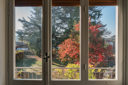 Autumn leaves view from window