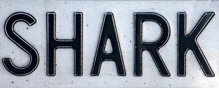 shark car plate detailの写真素材