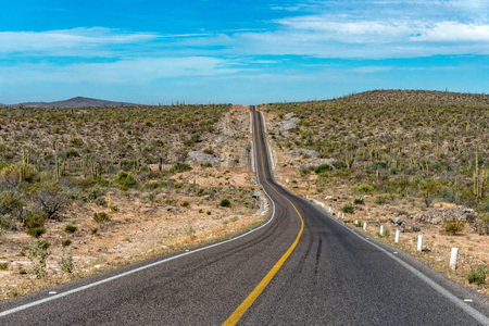 driving in Mexico baja california desert endless roadの写真素材