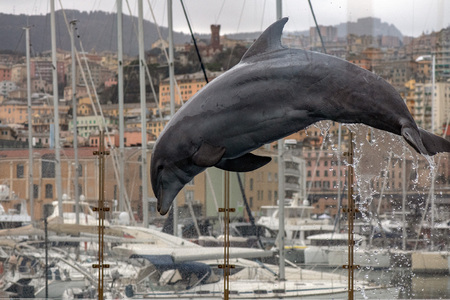 GENOA, ITALY - MARCH 4 2018 - Genoa aquarium is the largest in Europe, with dolphins giobin fun to the familyのeditorial素材