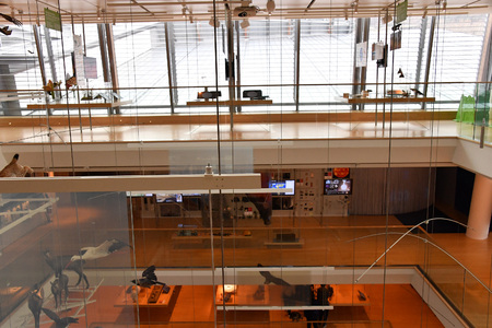 TRENTO, ITALY - MARCH, 27 2018 - Muse is the new interactive museum of Italy, designed by well known architect Renzo Piano, full of students in interactive sectionsのeditorial素材