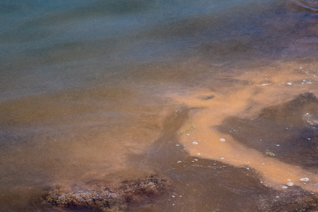 whale fat grease detail on water close upの写真素材