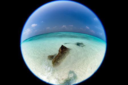 snowball style maldives tropical paradise beach crystal water white sand beach turquoise sea water