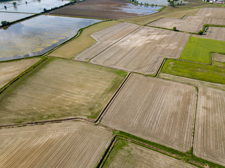 rice cultivation of farmed flood fields in northern italy aerial view