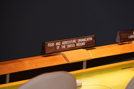 NEW YORK, USA - MAY 25 2018 - United Nations general assembly hall; headquartered in complex designed by architect Oscar Niemeyer open to publicのeditorial素材