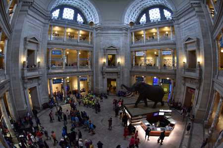 WASHINGTON DC, USA - MAY 17 2018 - located on the National Mall in National History Museum is open 364 days a year with nearly 8 millions of free admission visitorsのeditorial素材