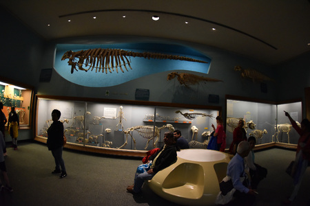 WASHINGTON DC, USA - MAY 17 2018 - located on the National Mall in National History Museum is open 364 days a year with nearly 8 millions of free admission visitorsのeditorial素材