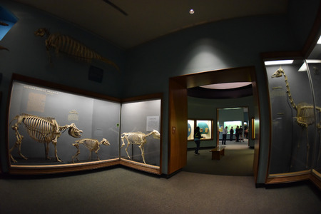 WASHINGTON DC, USA - MAY 17 2018 - located on the National Mall in National History Museum is open 364 days a year with nearly 8 millions of free admission visitorsのeditorial素材