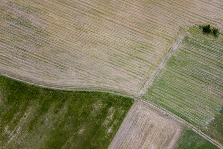 aerial view of packed hay bale harvested fodder balls on wheat fieldの写真素材
