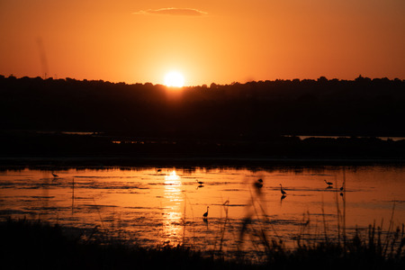 Vendicari Saline bird reserve retreat at sunsetの写真素材