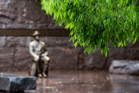 Roosevelt memorial statue under the rain in Washington DC detailの写真素材
