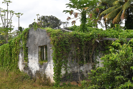 Polynesia cook island bungalow house view