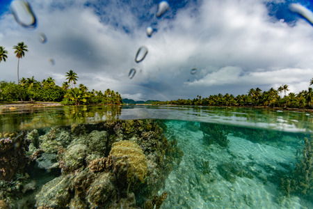 snorkeling in french polynesia turquoise water lagoon and rainbowの写真素材