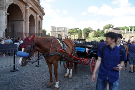 ROME, ITALY - JUNE 10 2018 - Tourists taking pictures and selfies at colosseo with smartphoneのeditorial素材