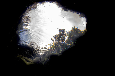 beautiful legs white young girl woman underwater in lake cenotesの写真素材
