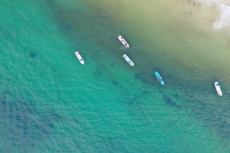 caribbean sea covered by sargasso algae seaweed in Tulum Mexicoの写真素材