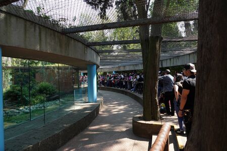 MEXICO CITY, FEBRUARY 3 2019 - Chapultepec is one of the largest city parks in the Western Hemisphere. Every sunday thousand of local mexican crowd the Castle and zooのeditorial素材