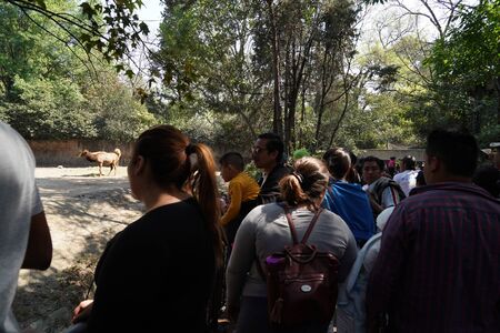 MEXICO CITY, FEBRUARY 3 2019 - Chapultepec is one of the largest city parks in the Western...