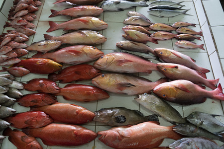 Male Maldives People buying at island capital fish market