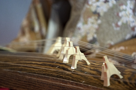 Koto japanese harp costume player