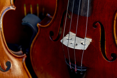 Violin detail close up musical instrument