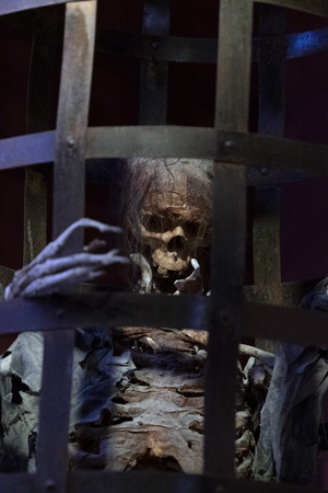 Skeleton caged in medieval cage hanging from ceilingの写真素材