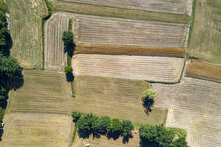 mature wheat farmed fields aerial drone panorama landscape
